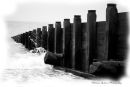 Groyne B&W