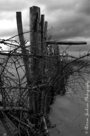 Sea Defences