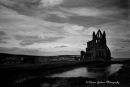 Abbey Ruins