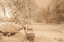 Winter Wonderland