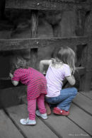 Pooh Sticks