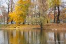 Autumn Trees; River Vlatava, Prague