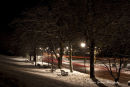 Night Time Snow