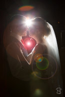 Lens Flare