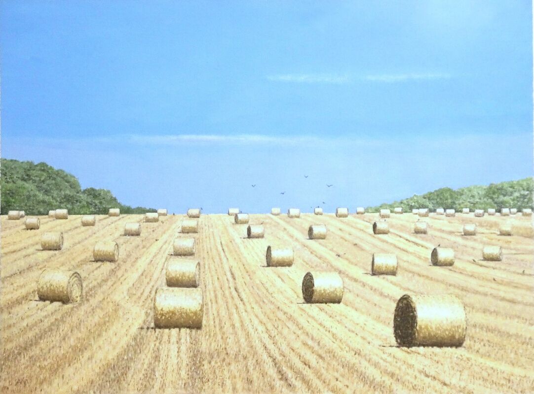 <strong>Hay Bales; Oil: 56 X45 cm; £400</strong>