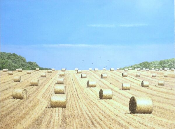 <strong>Hay Bales; Oil: 56 X45 cm; £400</strong>