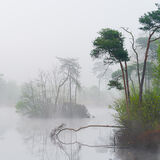 315-Oisterwijksevennen