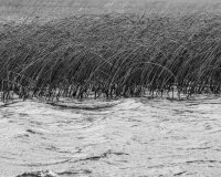 Turbulent times are represented in the strength and resilience of the reeds and my similar response to blocking out bad memories