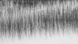 The stark reflections of autumnal reeds represent the rich tapestry of life and the cacophony of experiences we encounter and respond to