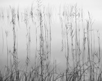 Life sometimes hangs by a thread as we emerge from the mist of our minds to find clarity and direction