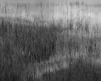 As I gaze at the reflections on the Loch it is like looking through a dark glass - we can only glimpse at reality but never know what is real