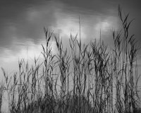 There is much hope in the darkness of our minds and scenes from the Loch often leave me with a positive spirit