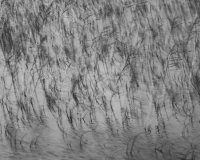 There is chaos and disorder in the Loch reflecting my memories and my attempts to reconcile myself with the images in my mind