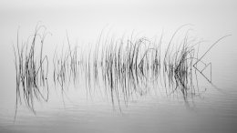 At times I am enveloped by a sense of calm and serenity as I come to terms with my ghosts and daemons
