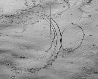 An ever changing circle of life. Sometimes the circle breaks and plunges us into dark places and memories