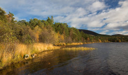 Loch Morlich