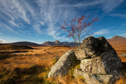 Rannoch Moor