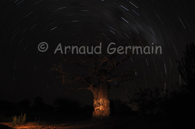 Baobab & Star Light Trail.