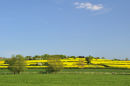 English landscape