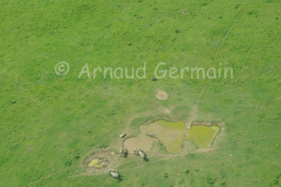 Waterhole on Lanet Plain