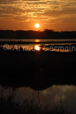 Sunset over the Shire River