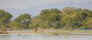 Boat Ride on the Shire River
