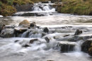 Stream on the Moors.