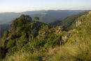 The Vosges mountains.