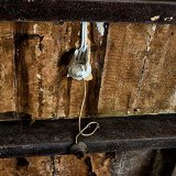 Ceiling with rafters and light fitting