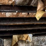 Ceiling Rafters