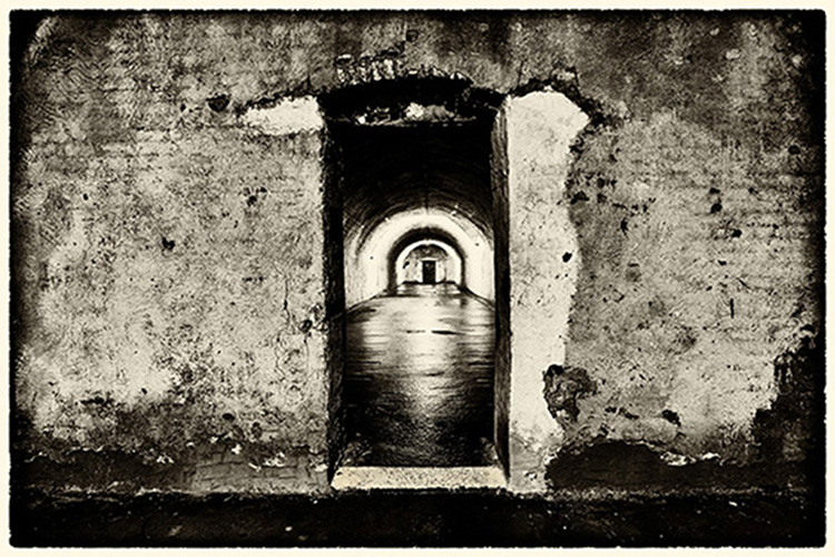 Chamber Partition