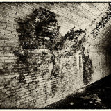 Mould on Wet Wall
