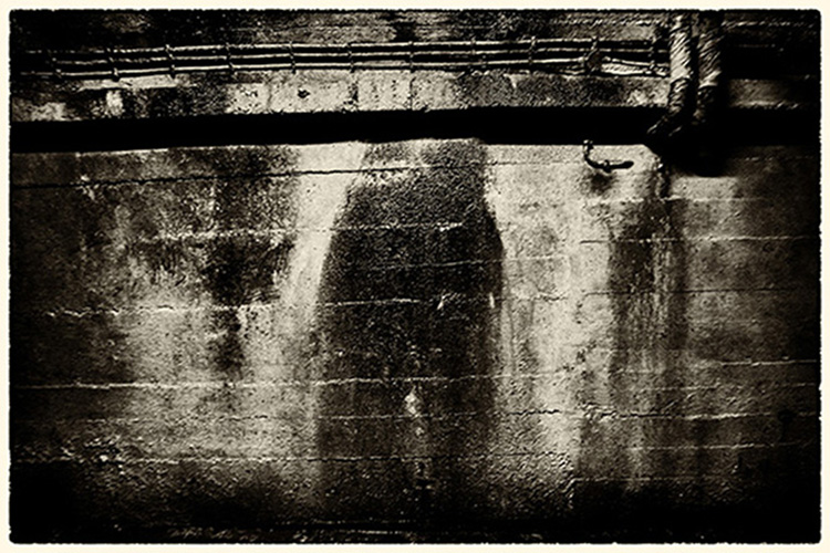 Damp Walls