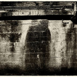 Damp Walls