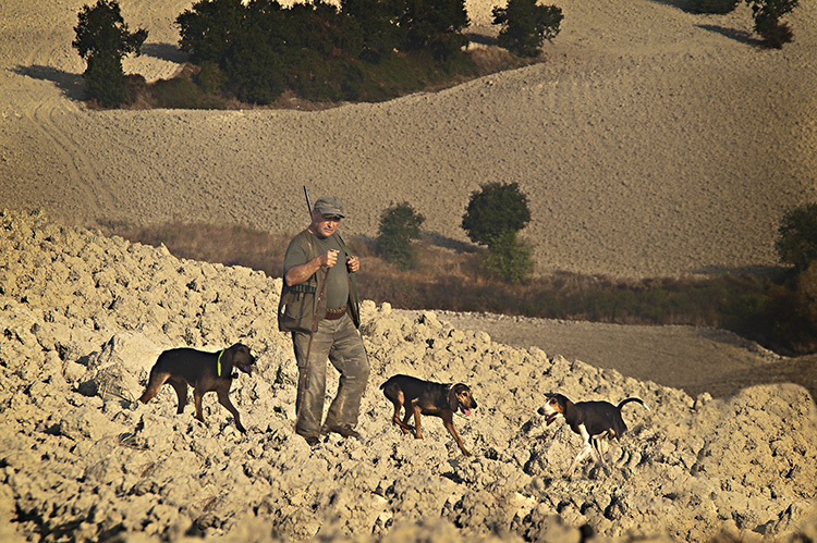 Hunter with Dogs