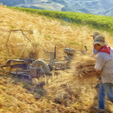Old Fashioned Harvesting