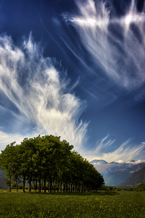 Cirrus Clouds