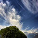 Cirrus Clouds