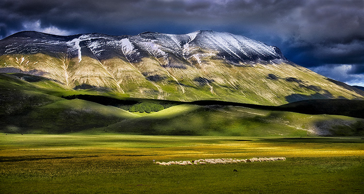 Mountains and Pasture