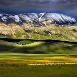 Mountains and Pasture