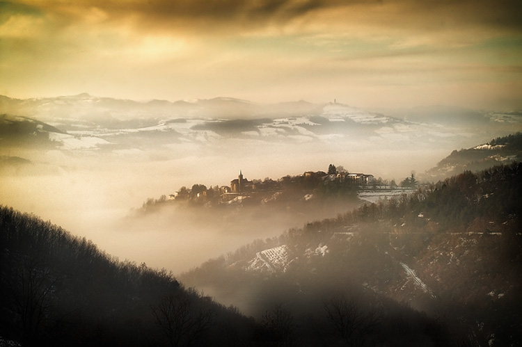 Morning Mist