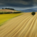 Harvest Lines