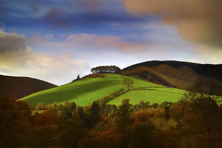 Conical Field