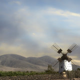 The Old Mill