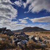 Rocky View