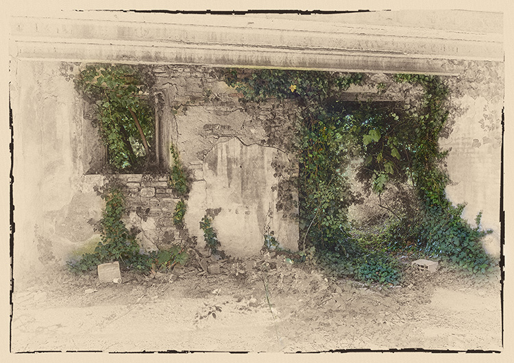 Vegetation