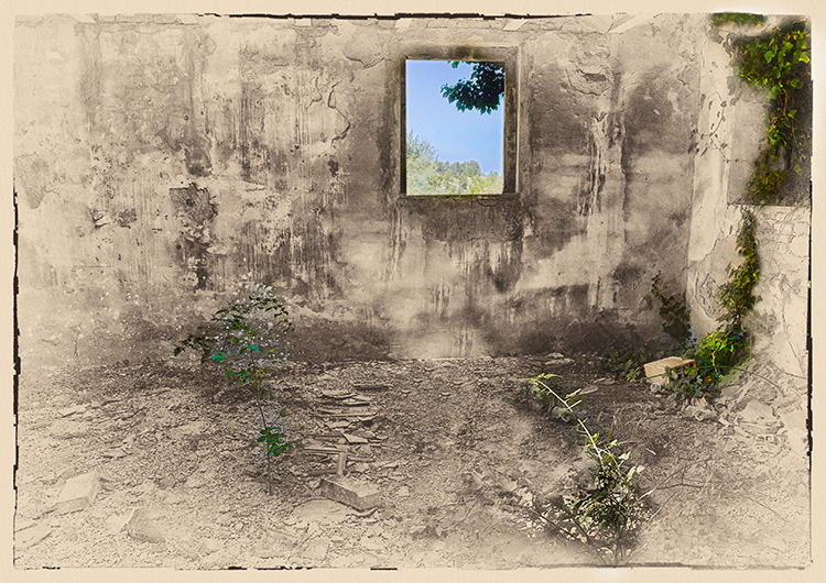Window View