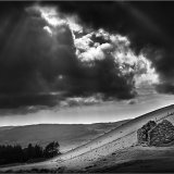 Shepherd's Refuge