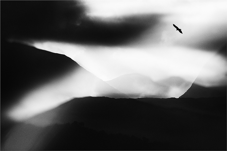 Mountains and Buzzard in Flight