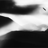 Mountains and Buzzard in Flight